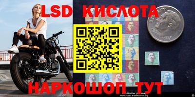 PSILOCYBIN Можайск